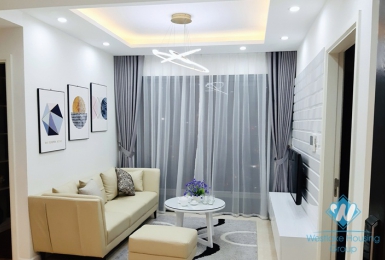 A brand new 2 bedroom apartment for rent in Dcapitale Cau giay, Ha noi
